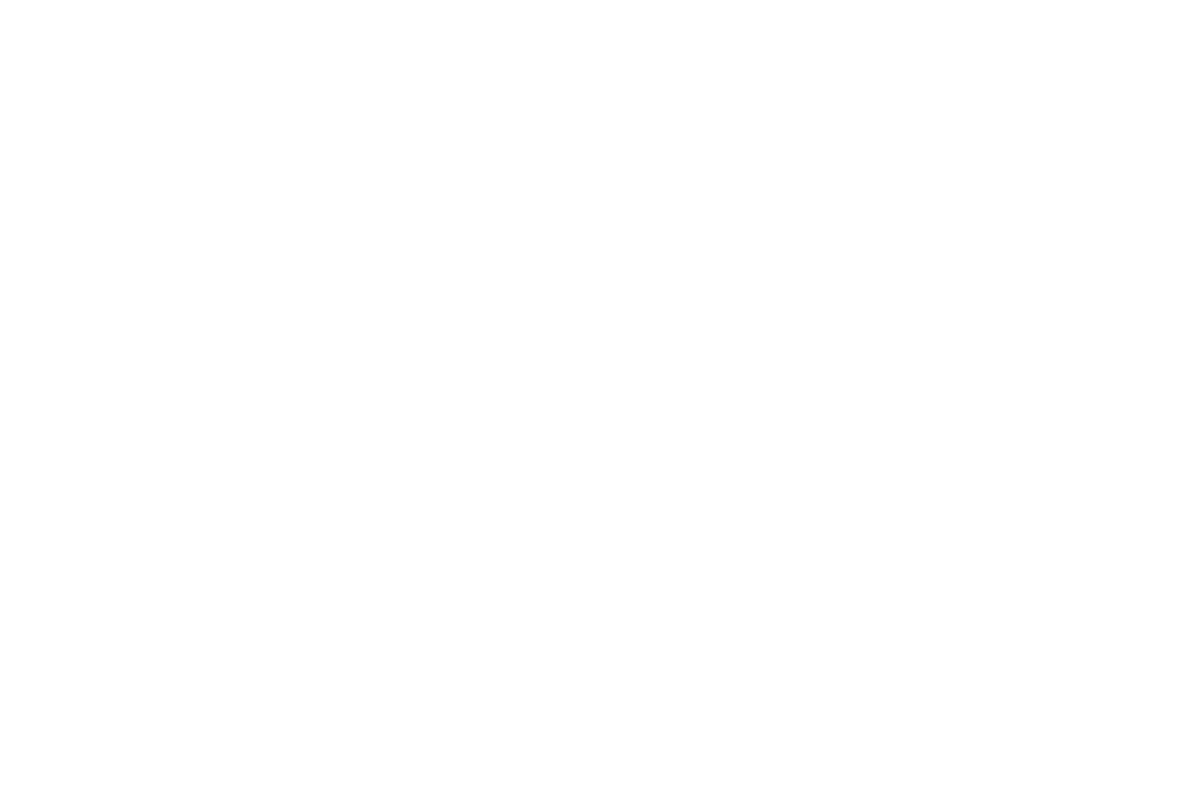 Wellenreiter by Nadine Logo